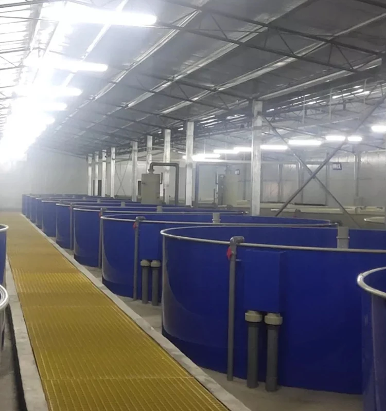 ras fish farming equipment indoor shrimp farming equipment recirculating aquaculture system fish farm