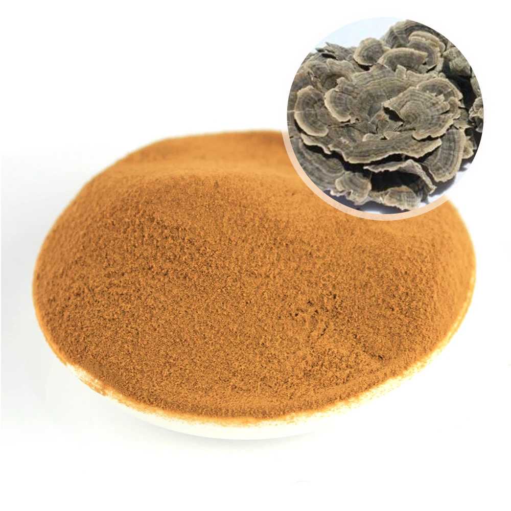 High Quality Breast Cancer Adobo Recipe Turkey Tail Fungus Turkey Tail Mushroom Extract