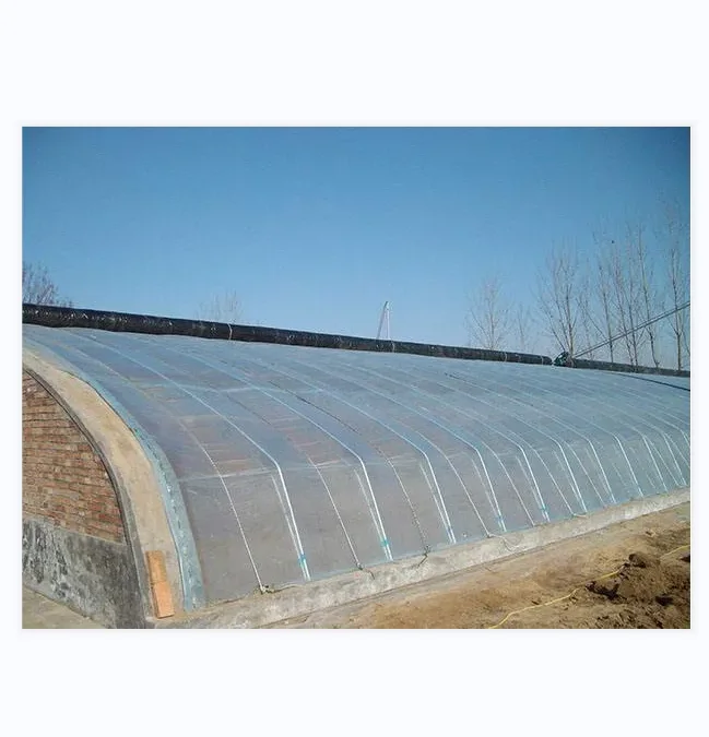 Film large span solar energy saving passive tomato greenhouse with soilless culture