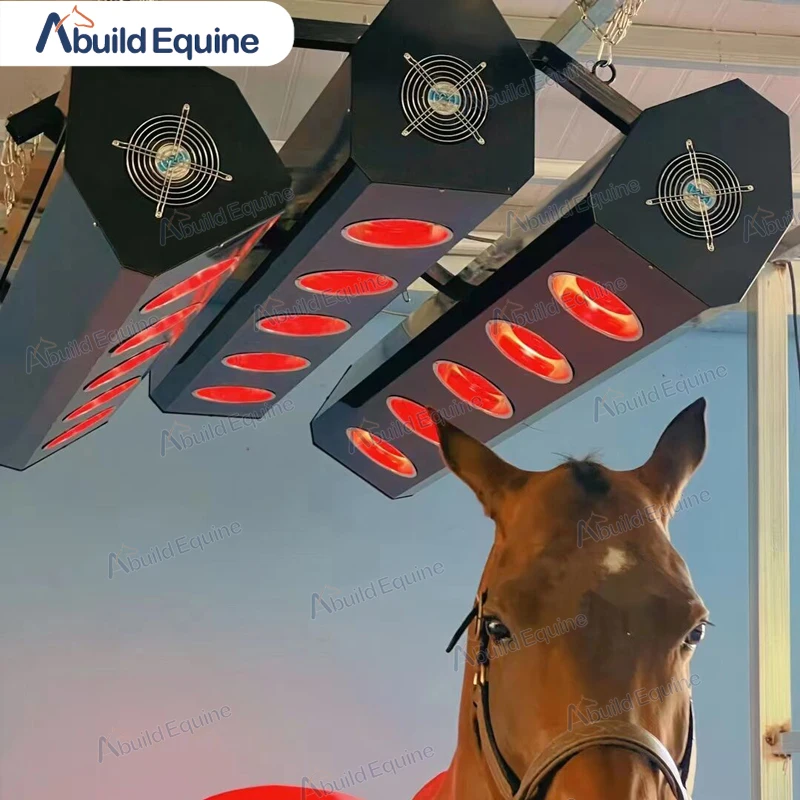 Redfy Barn Use Equine Led Therapy Light Infrared Solarium Device
