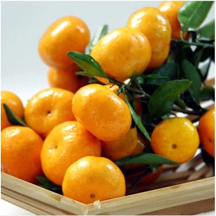 High Quality Orange Mandarin Supplier Bulk Fresh Mandarin Orange Mandarin Price fruit for wholesale