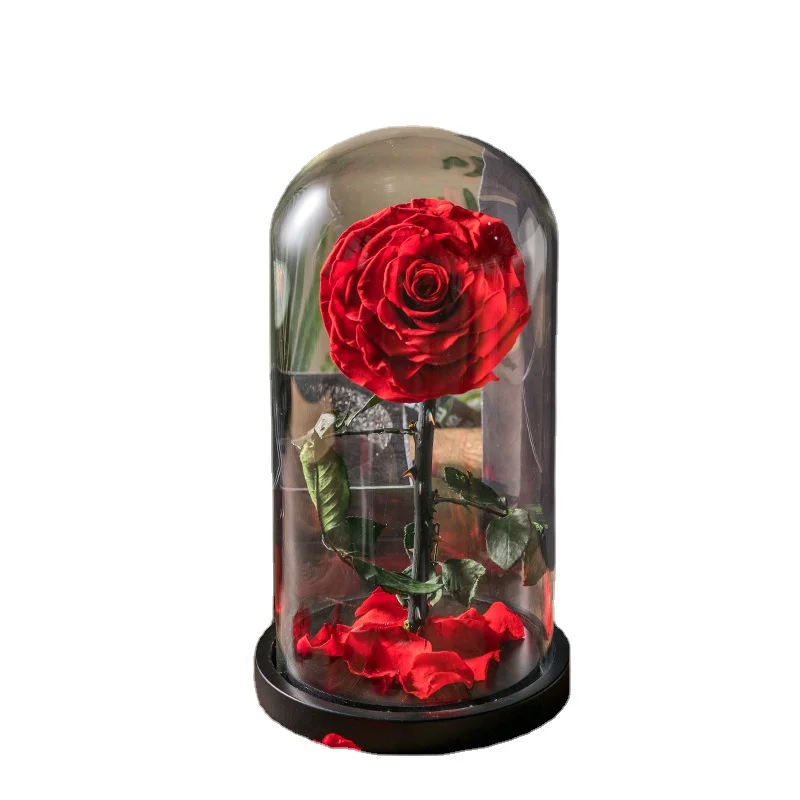 Forever Stabilized Luxury Preserved Rose Flower In Glass  Dome Valentine Day gift set