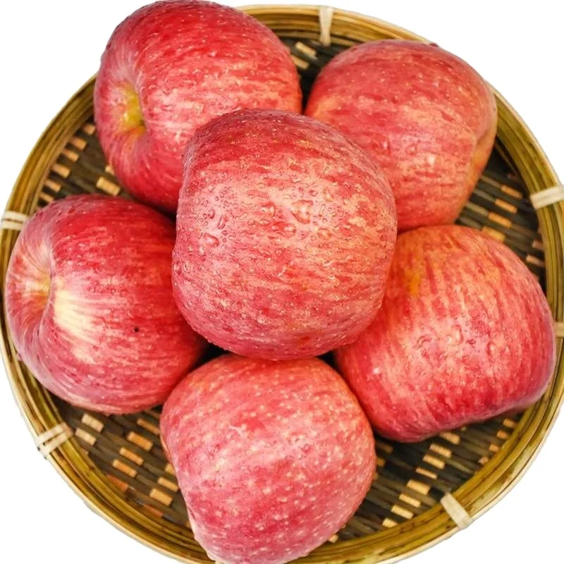 Wholesale high quality irani fresh fuji apple fruit Export price