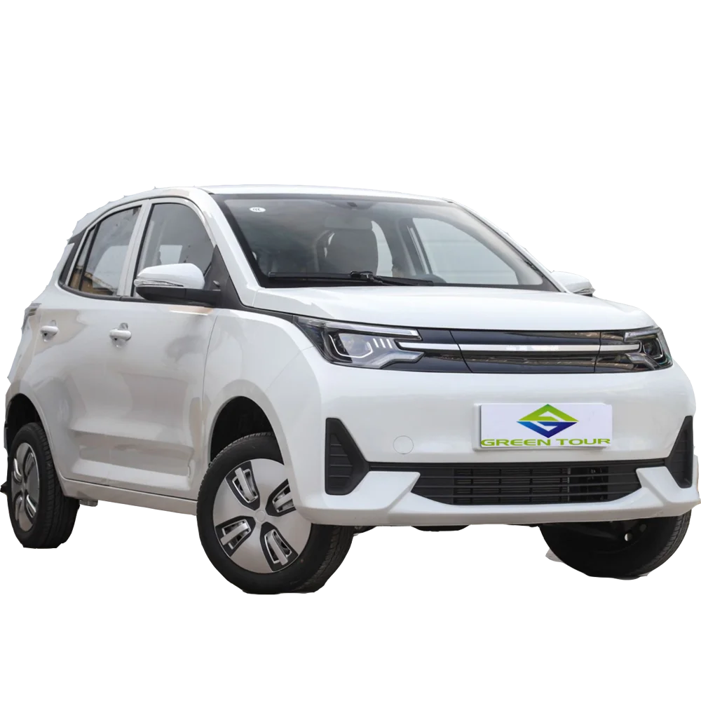 EEC Solar Electric Cars Left Right Hand Drive Electric Cart New Cars Electric