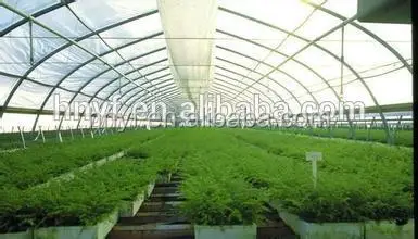 Bags Grapes Fruit Cover Protection Plastic Bag Anti UV Low Cost Wholesale for Vegetable 50mic in Stock Single Span Tunnel