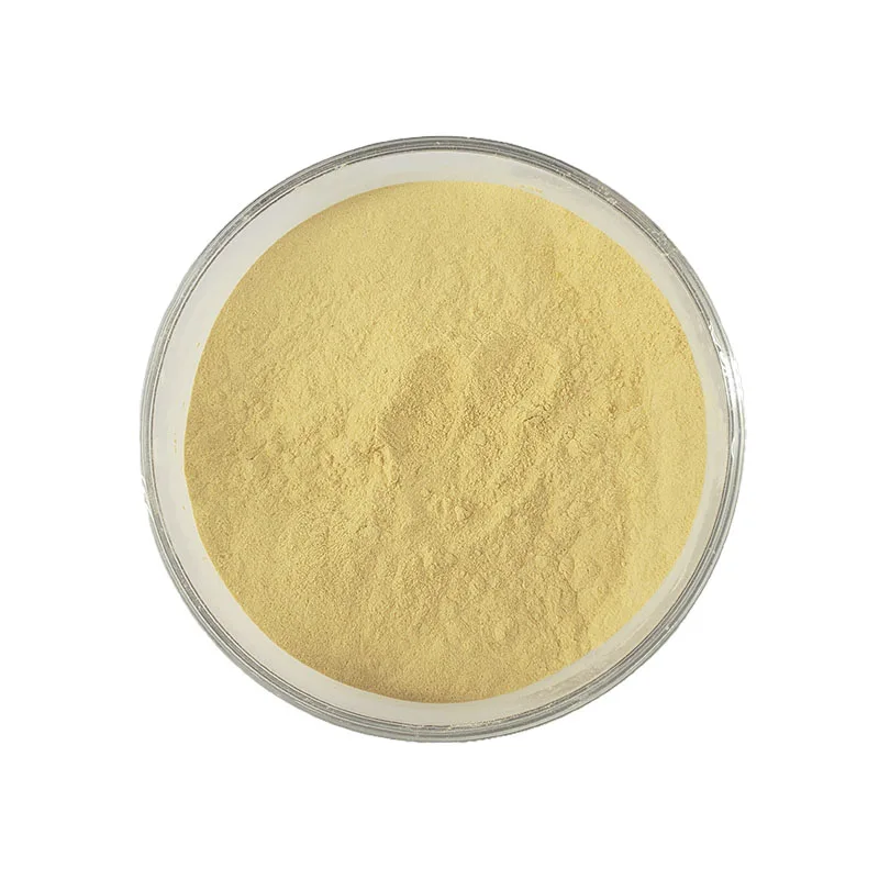 Factory Supply Ginseng Extract Panax Root Extract Powder Ginsenosides 80%