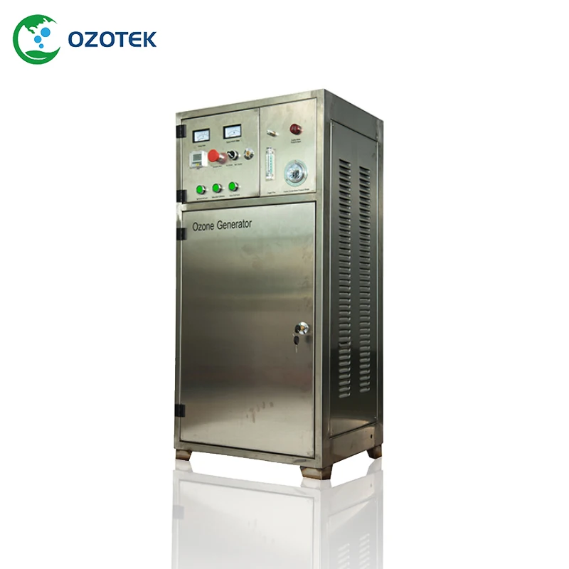 OZOTEK 60g ozone generator 220 v Inbuilt PSA Oxygen concentrator for water purification air purifier