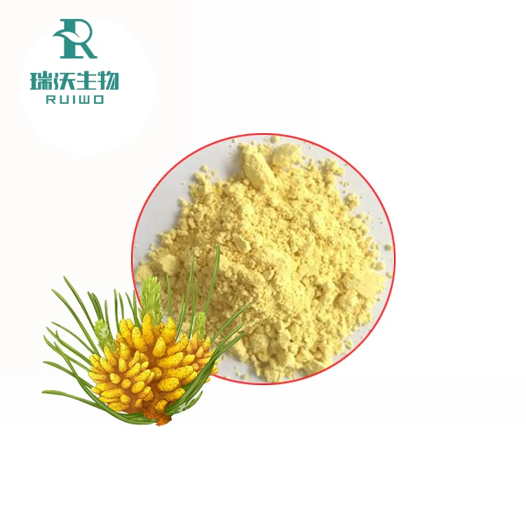 Private Label Pine Pollen Extract 20:1 Solvent Extract Wild