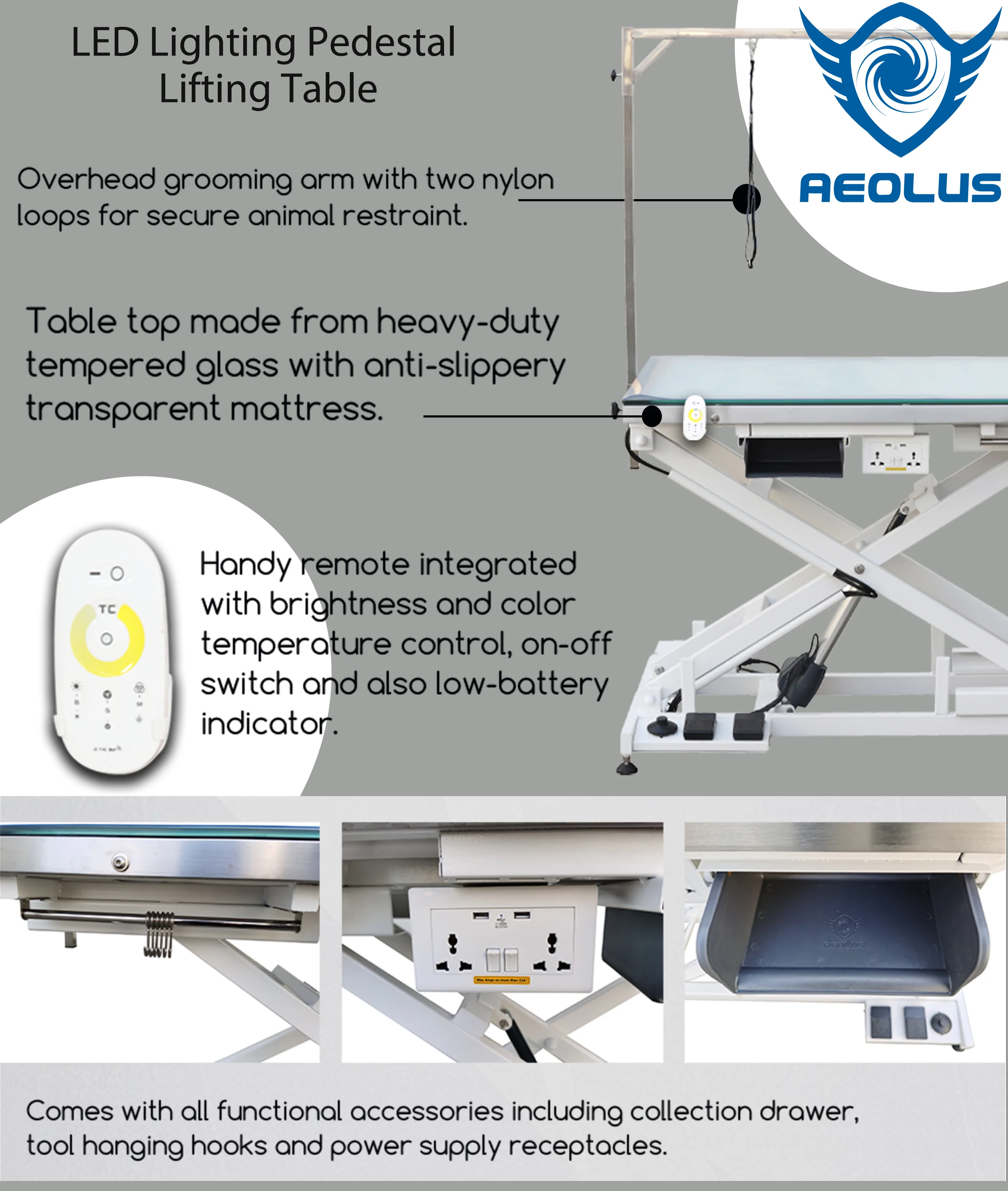 Aeolus High quality LED Lighting Electric lift pet dog beauty grooming table Illumination grooming table