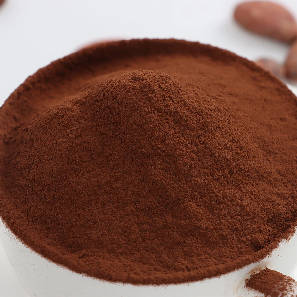 Alkalized cocoa powder JR03(dark reddish brown) Factory Supplier made from West Africa cocoa bean Selling Food Grade Additives