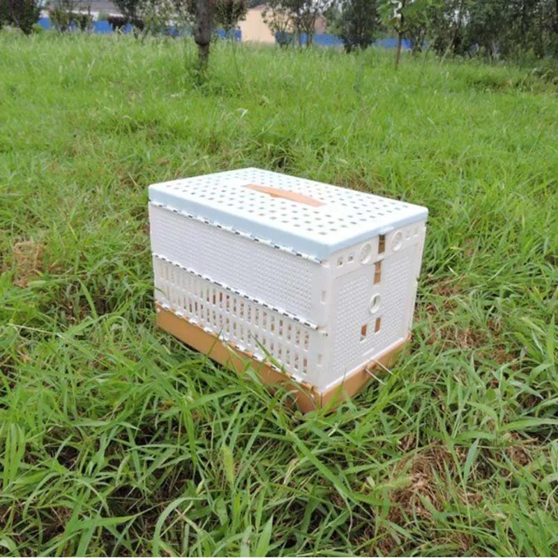 Poultry Pigeon Transport Competition Bird Cage Small Animal Folding Pairing Cage for Travel Training Cage Pigeon Supplies