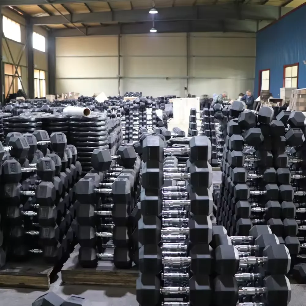 Wholesale China Manufacturer Custom Free Weight Gym 3-100 LB 1-60 KG Set Metal Handle Cast Iron Rubber Hex Hexagon Dumbbell