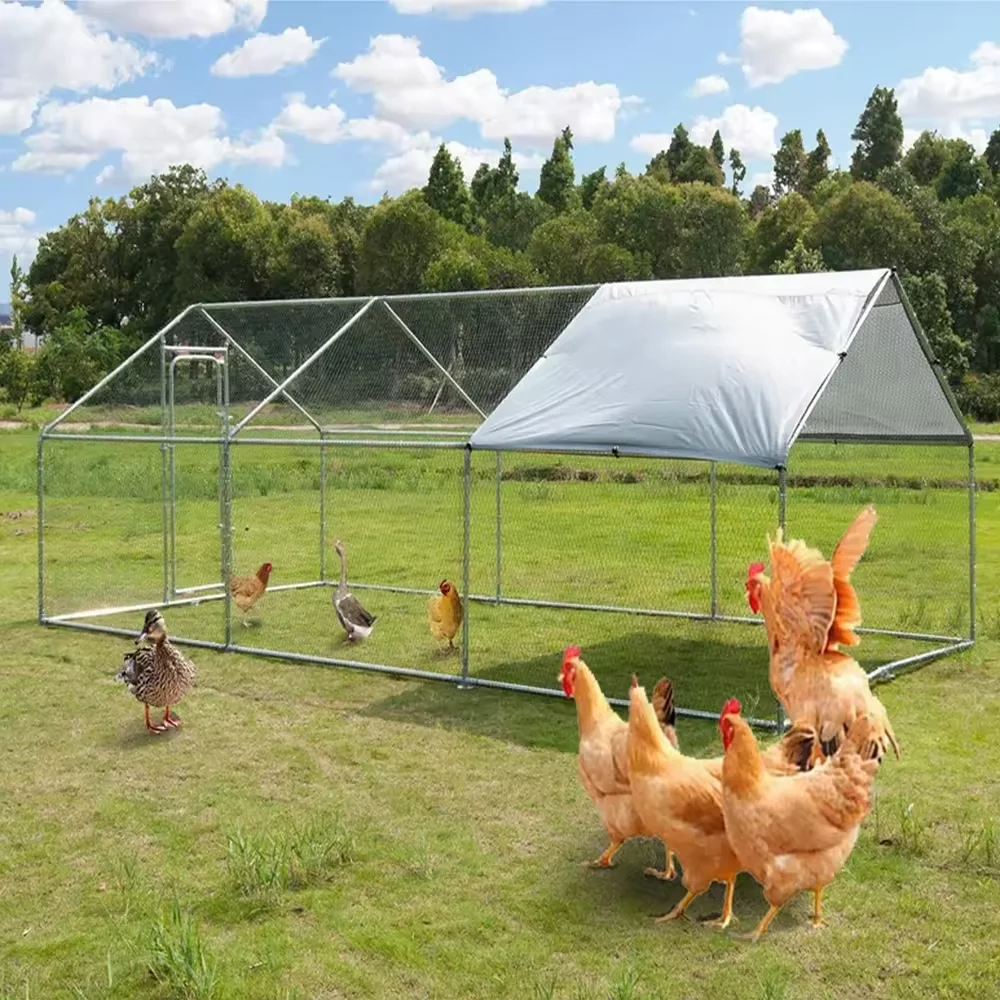 Outdoor chicken coop Outdoor Exercise Chicken Cage /Chicken Pens /Walk in Chicken Run coop
