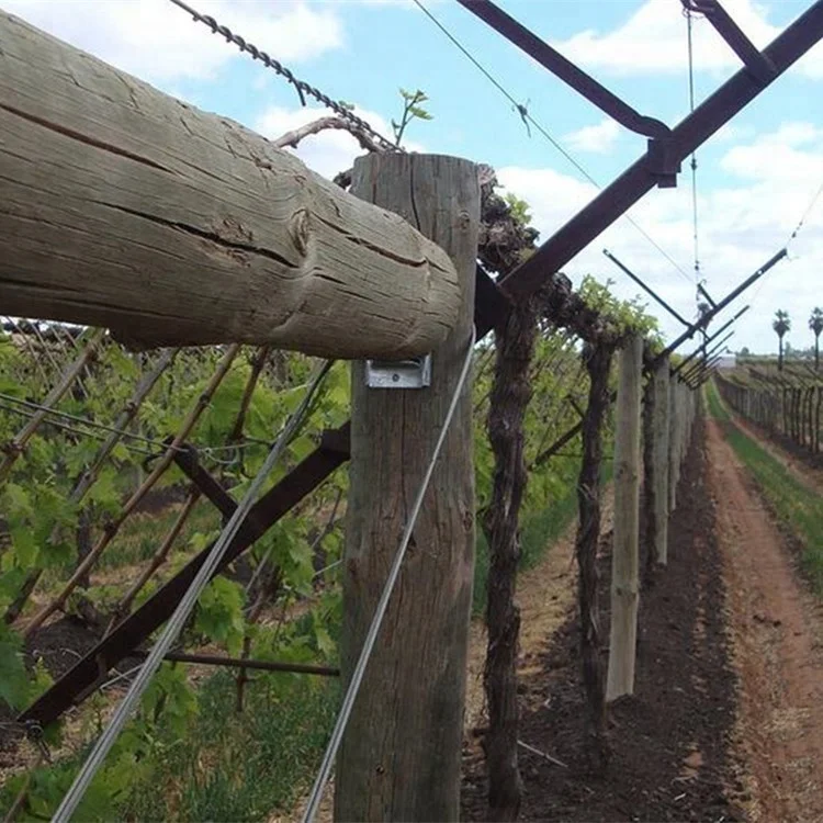 Trellis & Gates Steel Galvanized Grape Trellis Post Stakes for Sale High-performance Vineyard Metal Fencing