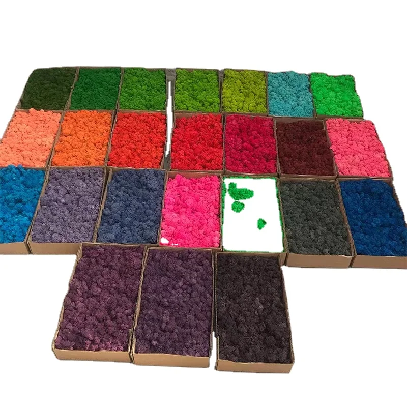 Hot Selling Stabilized Preserved Lichen Reindeer Moss for decoration flower wall Preserved  Moss