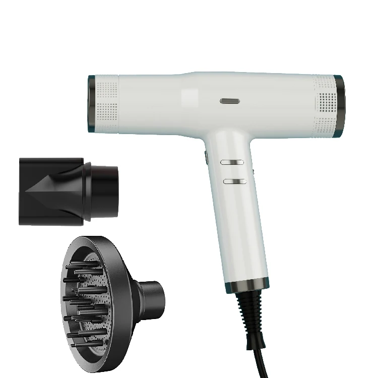 110000 RPM High Speed Hair Dryer Negative Ionic Blow Dryer Low Noise Fast Drying Hairdryer with Cold Settings Diffuser