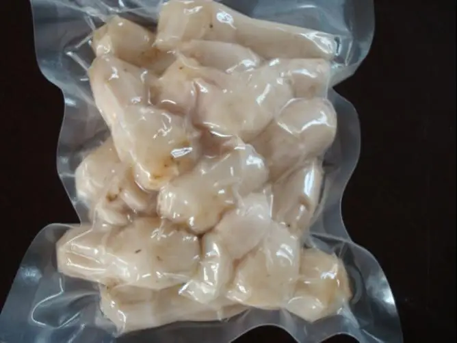 DZ-500/2H Automatic Vacuum Packing sealing Machine