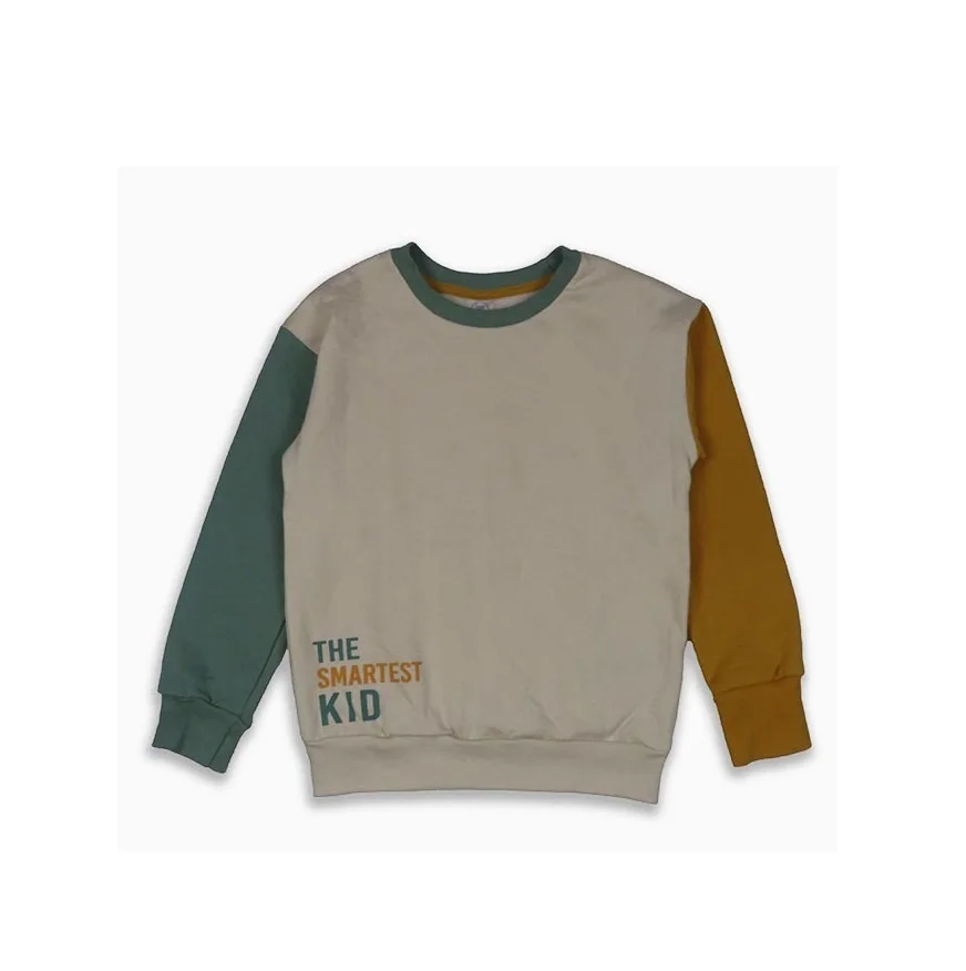 Top Quality 100% Cotton Knitted Brushed Fleece 230 GSM Boys Crew Neck Pullover Sweatshirt from India Export