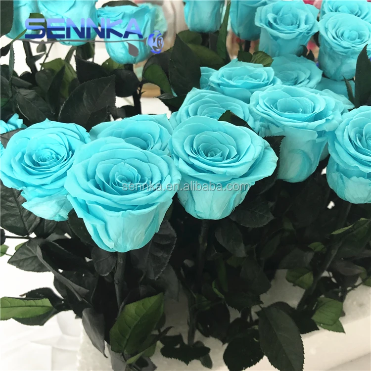 
Natural Real touch Preserved Rose Heart Shaped Rose Long Lasting Roses 