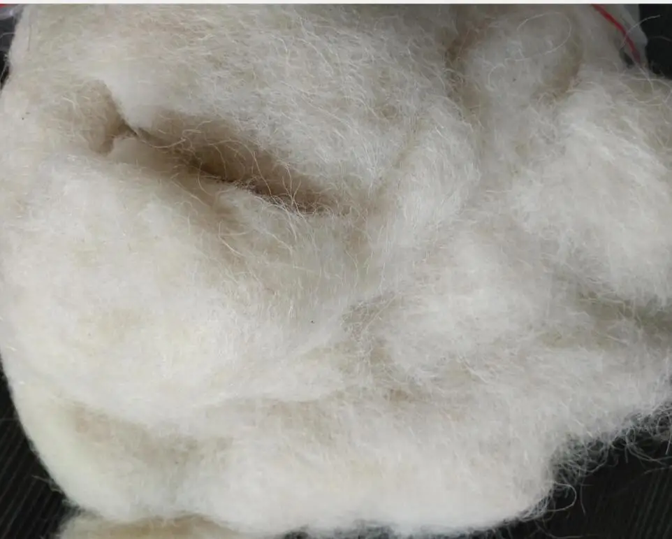 Unwashed and Carded Chinese Sheep Wool Waste used for  felt