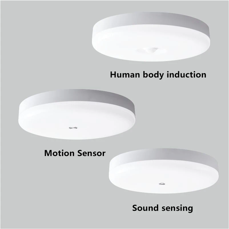Factory Wholesale Round Ceiling  for Indoor Home Lighting Fixtures Modern Smart PIR Motion Sensor Light Led Ceiling Light