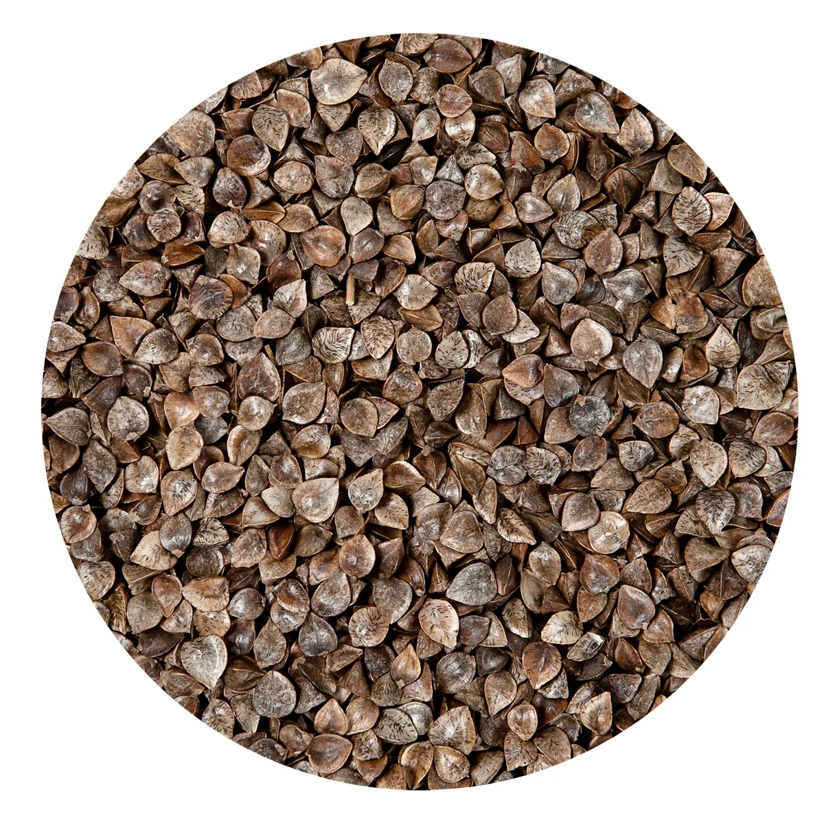 
 Оптовая продажа, без ГМО, органическое Гречневое зерно  