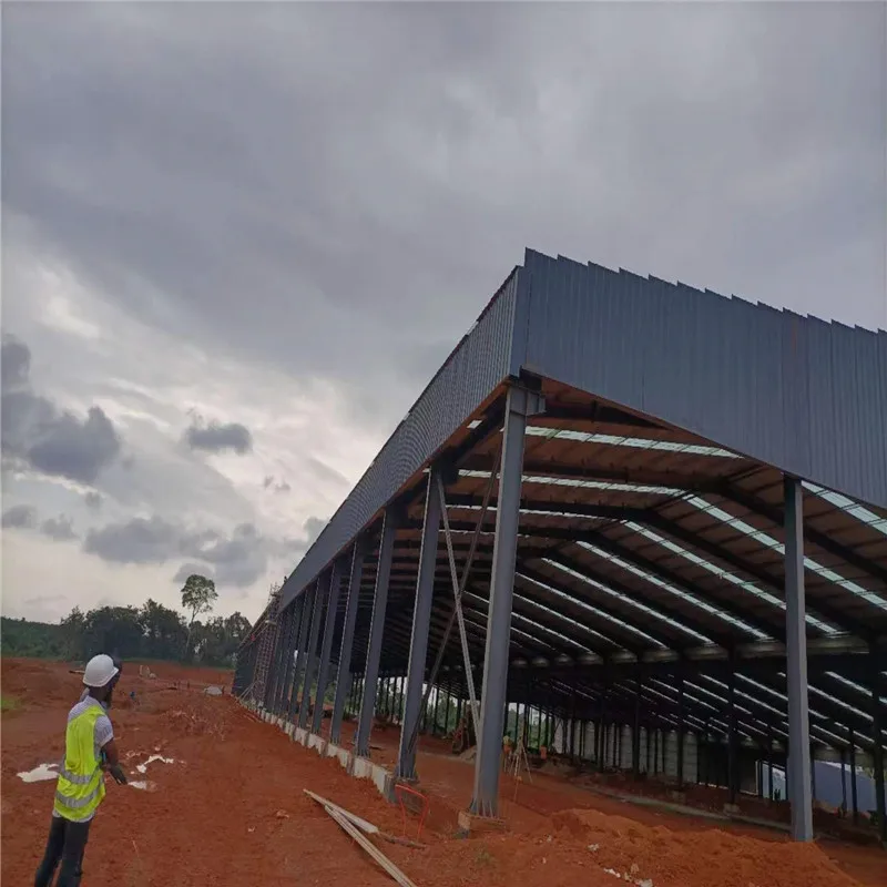 Modern and Economic Design Prefab Steel Structure Building Prefab Warehouse Workshop Aircraft Hangar Construction Material