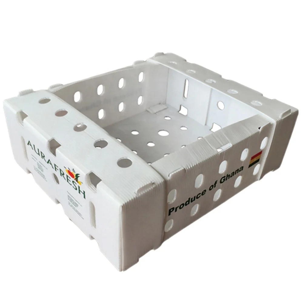 Factory direct waterproof plastic cartons for vegetable and fruit cartons and agricultural asparagus boxes