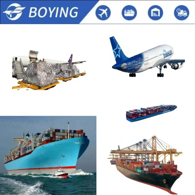 Sea Freight Forwarder Shipping Rates Shipment From China Shenzhen to San Francisco/Miami