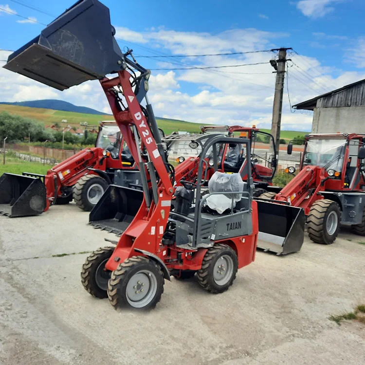 500kg Agricultural Loader DY25 Ce Certified Articulated Small Wheel Loader