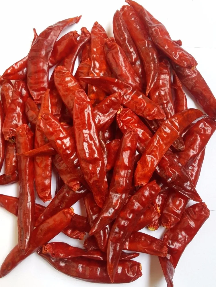 
Indian Dry Red Chili Sannam-S-4/334 