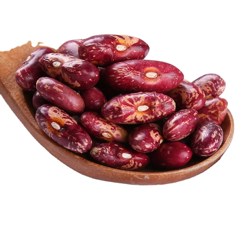 2022 new crop Chinese New Crop Dried LSKB Light Speckled Kidney Beans on sale