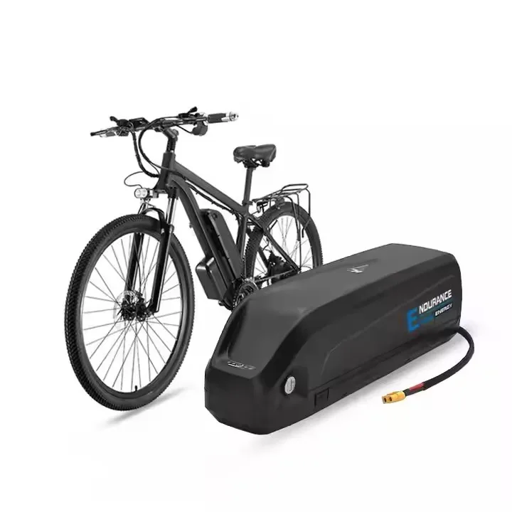 Downtube Battery Lithium ion electric bicycle battery 48V 36V 52V 10Ah 15Ah 20Ah Hailong ebike battery for bike