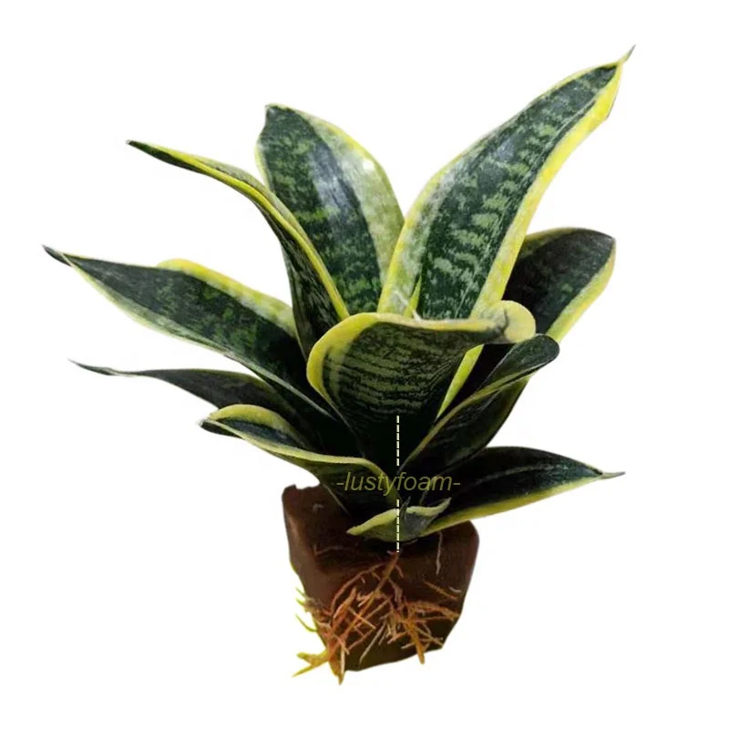 Раствор для выращивания саженцев meida, средство для выращивания корней, гитропонное средство для распространения, среднее средство для выращивания растений