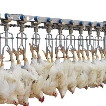 Chicken Slaughtering Equipment For compact Poultry Slaughterhouse