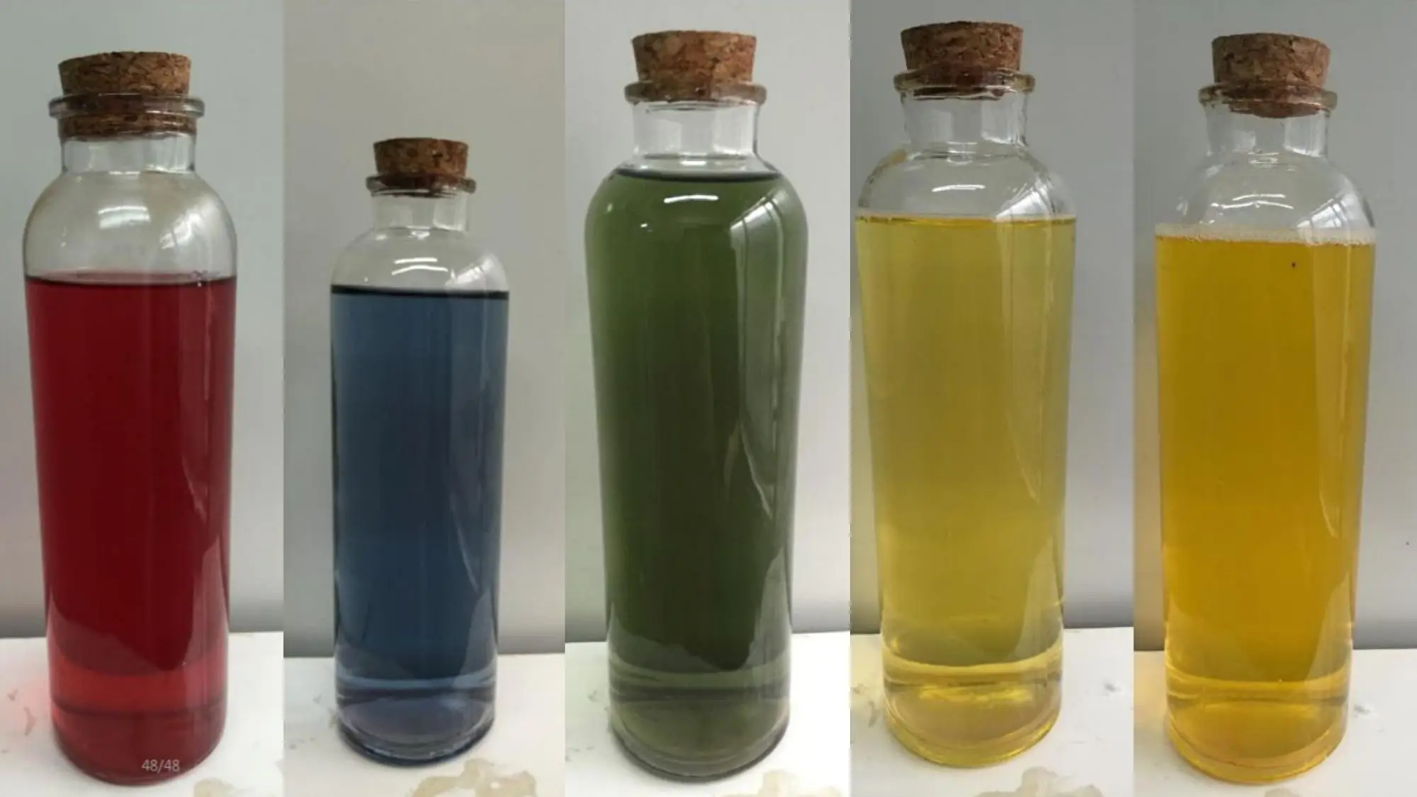 High temperature resistance edible food powder natural green extract sodium copper chlorophyll color