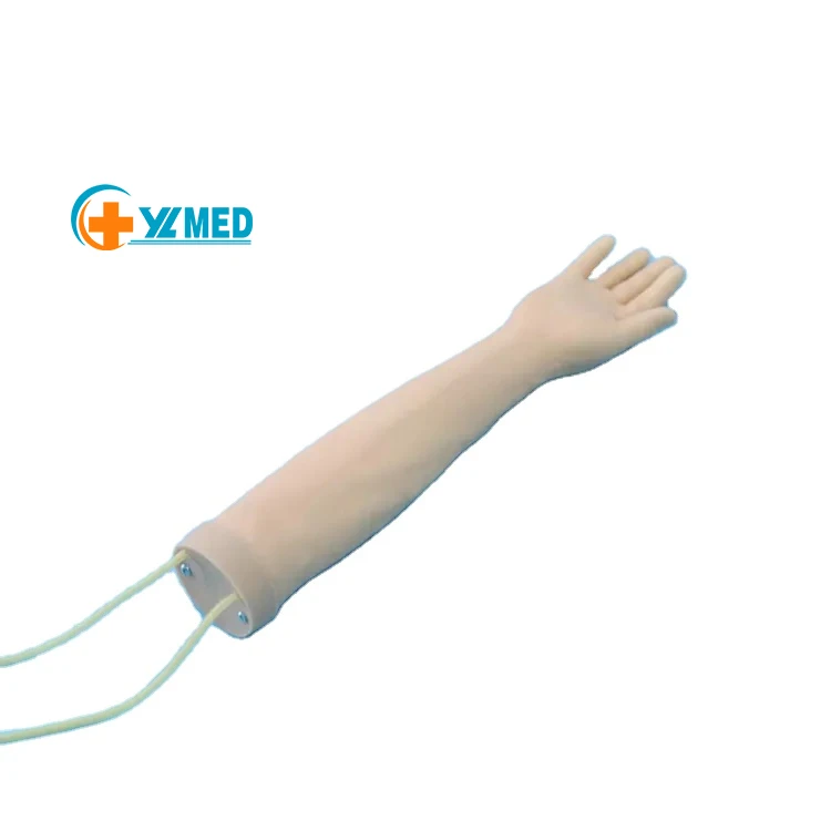 Внутривенный тренажер для инъекции короткой руки модель человеческой внутривенной обучения медицинским