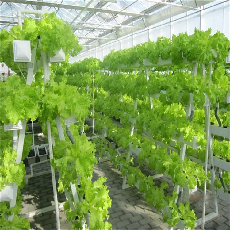 Procurement Festival hot Sell commercial vertical greenhouse hydroponic growing systems hydroponic farming systems