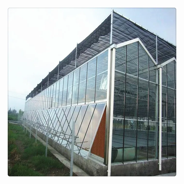 
High quality cheap price polycarbonate sheet light deprivation greenhouse for commercial use 