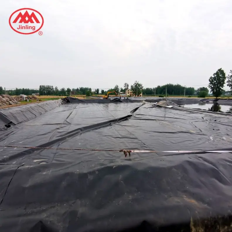 0.5Mm 0.75Mm Shrimp Pond Catfish Farm Liner 0.3-3.0Mm Geomembranes Geosynthetics Hdpe Pondliner