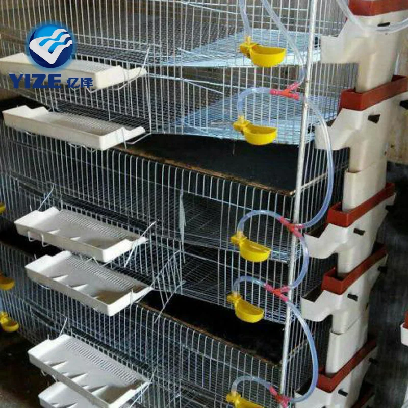 Fully automatic quail farm quail cages and equipment 6layer for sale