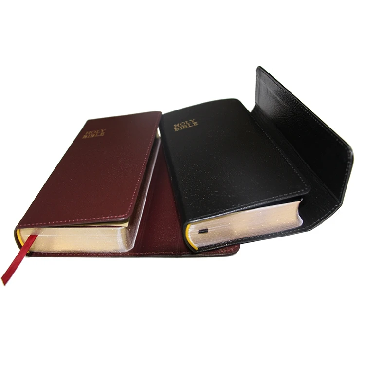 Gold Print Bible New International Version Large Print Bible