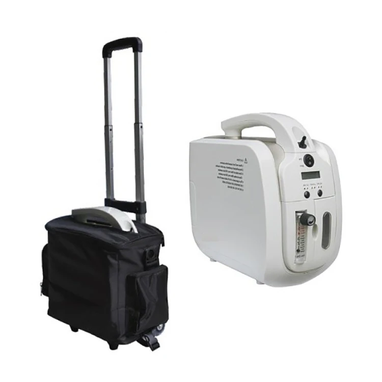 Medical Oxygen Concentrator Hot Sale High Quality Medical 1l Oxygen Concentrator