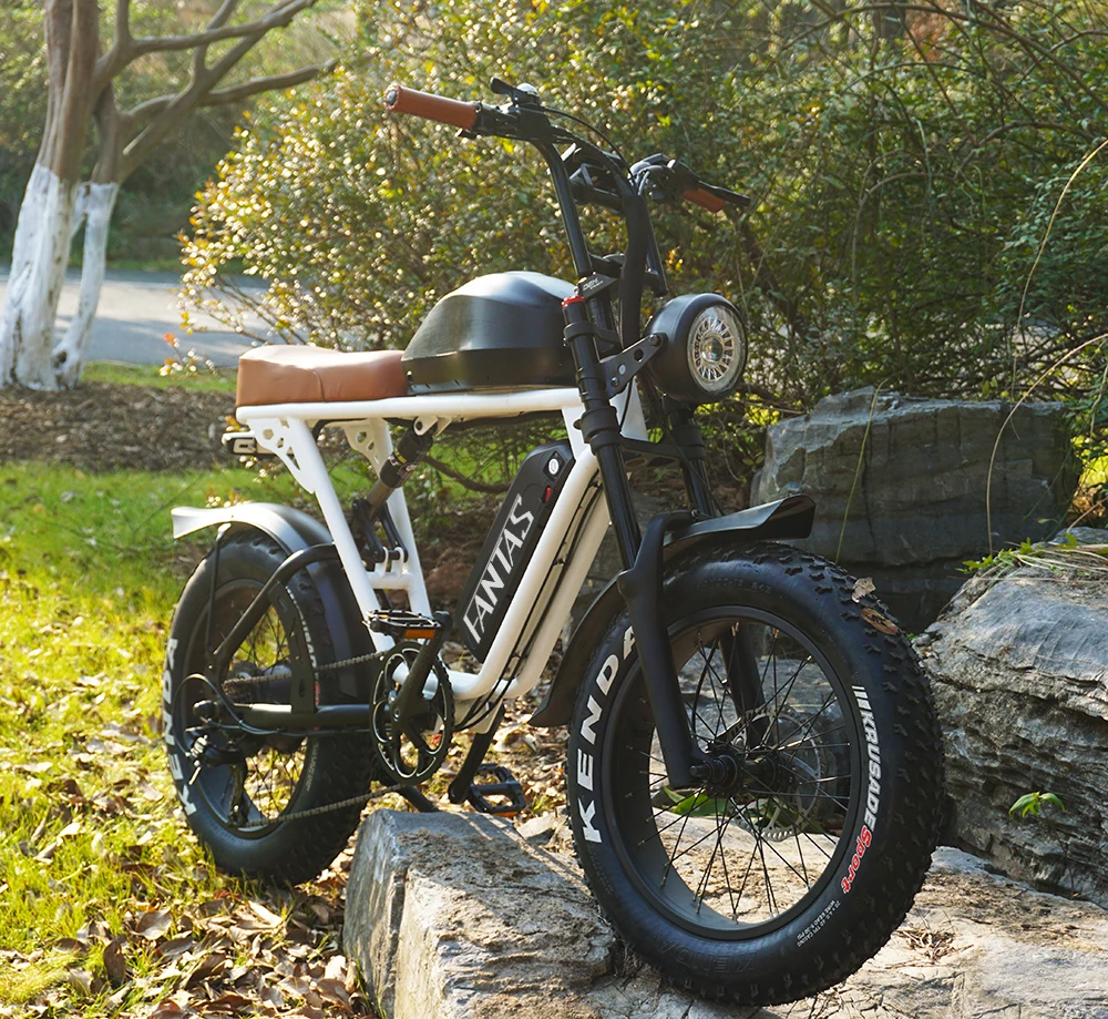 2022 New Super Knight-001 Electric City Bicycle With 20inch Fat Tires E-bike Snow Beach Bike for Adult