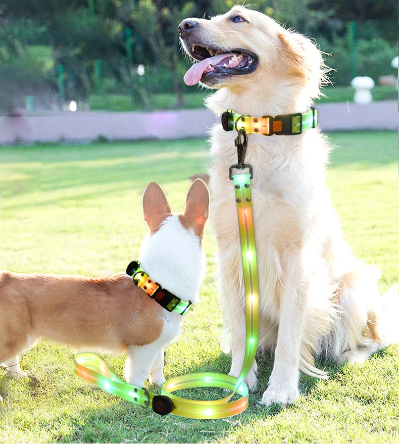 Professional Wireless App Customized Luminous Lovely Dog Collar With Display Leash