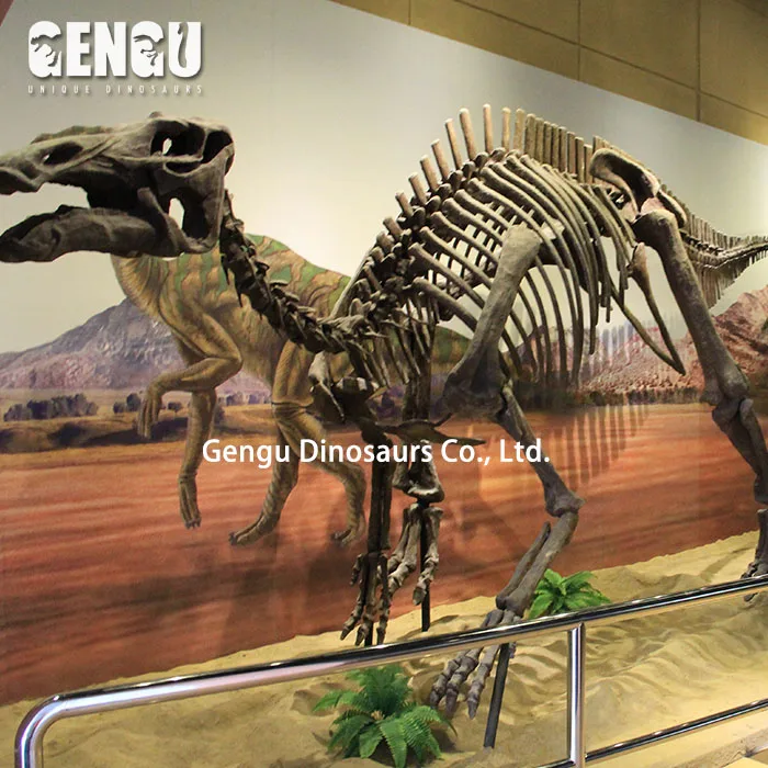 Zigong Dinosaur Museum Skeleton Model Of Dinosaur Spinosaurus