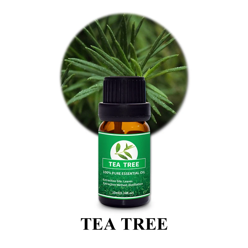 Bulk Trade Price Customize Organic 100% Nature Therapeutic Grade Tea Tree Essential Oil