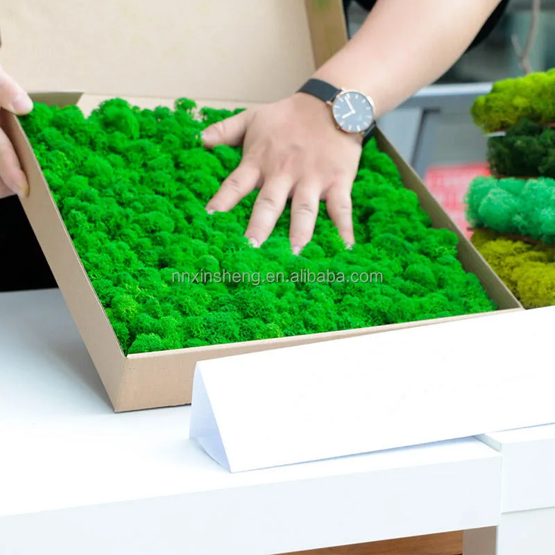 Green decoration grass preserved moss wall panel indoor decor artificial grass plant 3D green grass wall decor