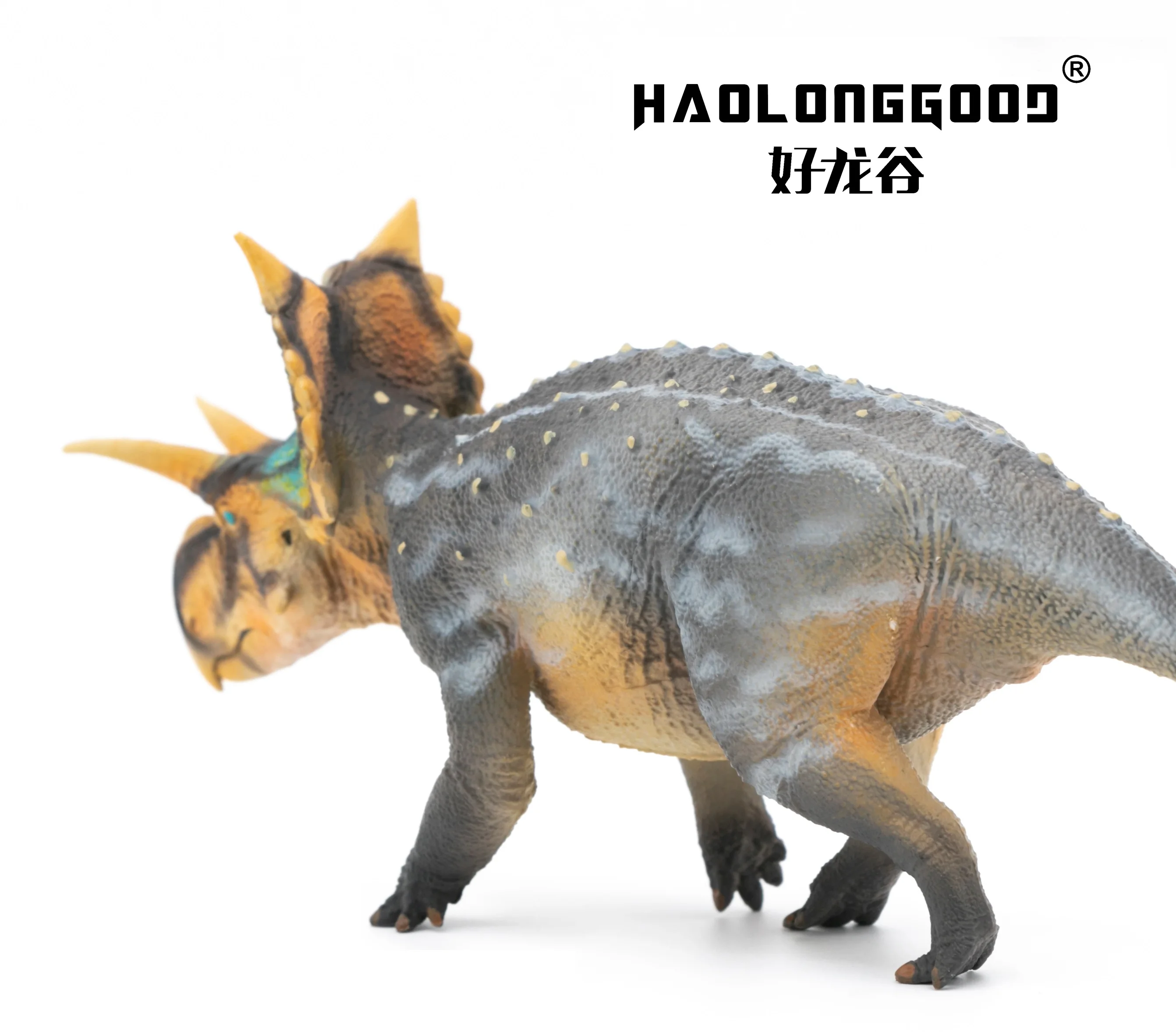 Haolonggood Xenoceratops Most Popular Plastic Dinosaur Figure World prehistory Animal Toy Set Cool Gift Birthdays Christmas