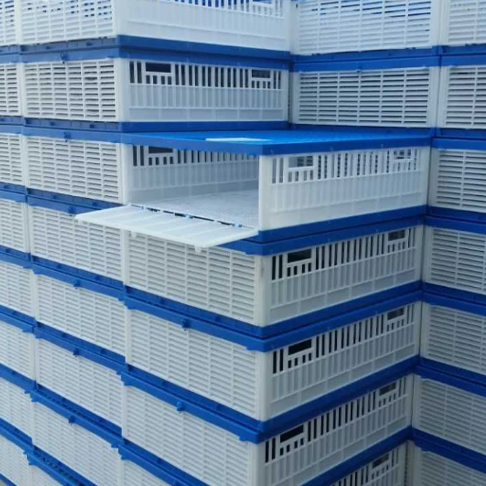 Birds Carrier Crate Three Doors Pigeon Cage Plastic Transportation Cage For Pigeon Bird Shipping Cage